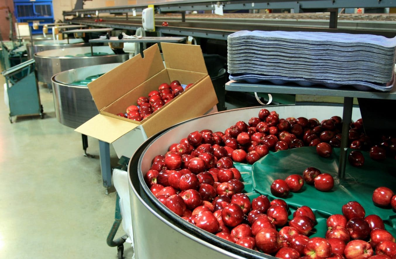 Fruit and vegetable processing